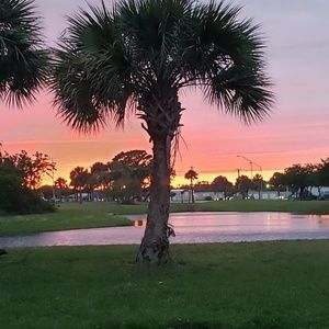 Meet your Posher, Joanne